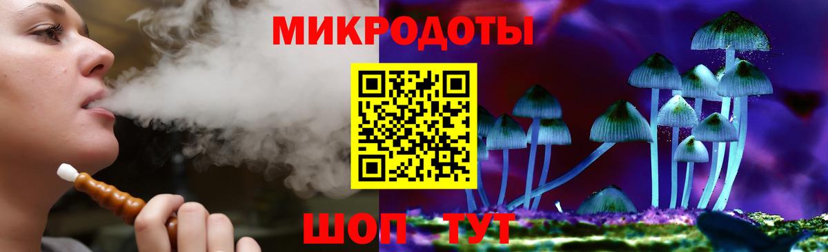 Псилоцибиновые грибы Psilocybe Белорецк